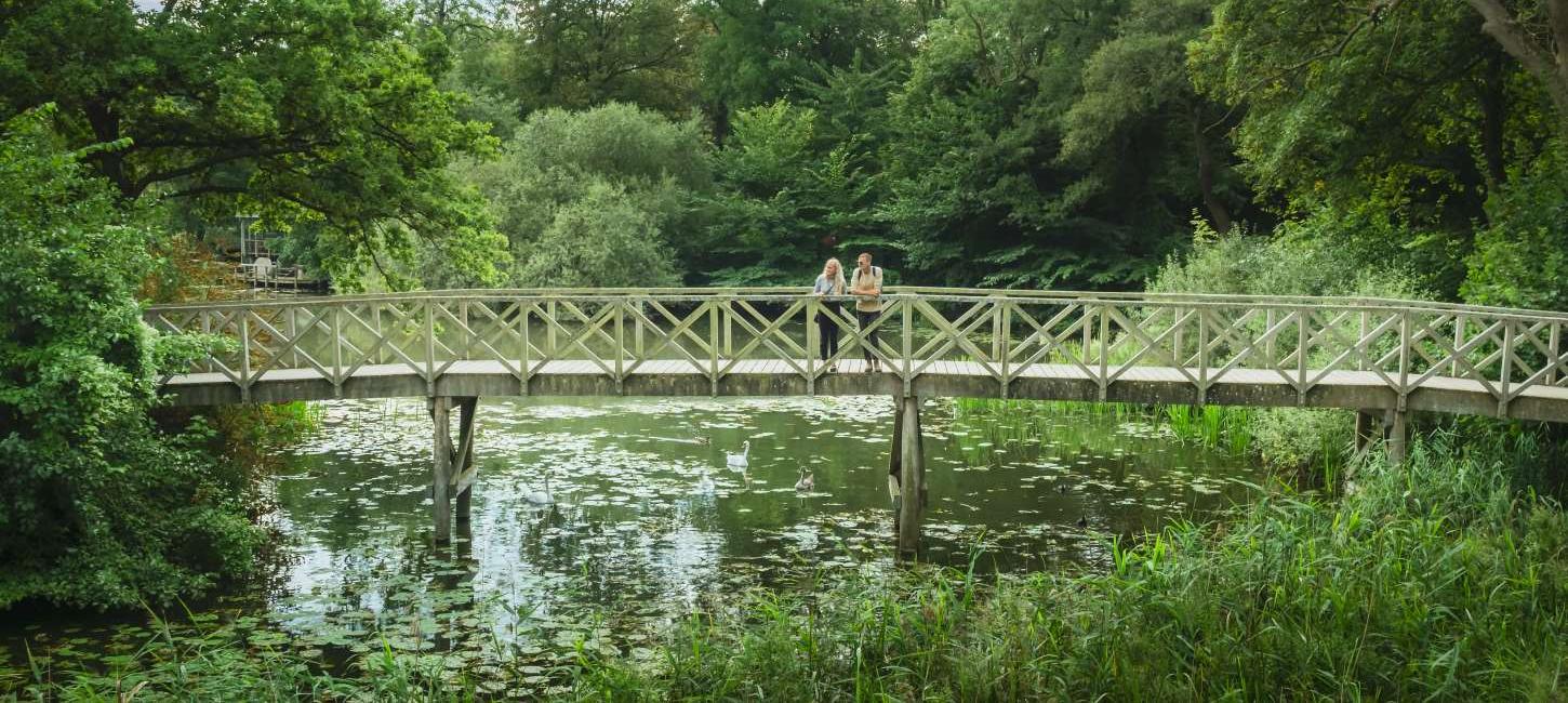 Naturbroen på Nyborg Vold tæt på Vandtårnet