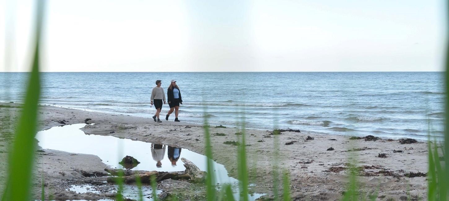 Gå tur langs Storebælt ved Teglværksskoven i Nyborg