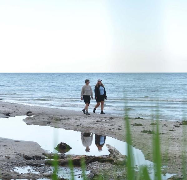 Gå tur langs Storebælt ved Teglværksskoven i Nyborg