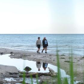 Gå tur langs Storebælt ved Teglværksskoven i Nyborg